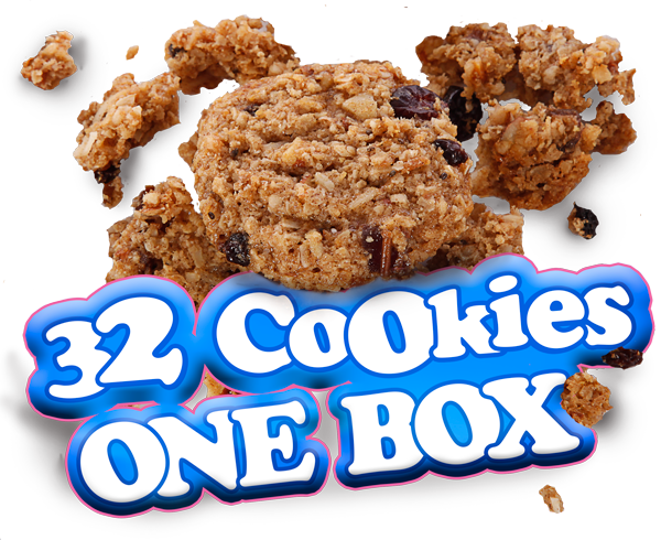 vegan oatmeal cookies 4pack